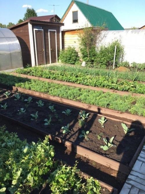 И вся эта красота на 4-х сотках. 04