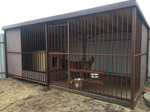 Вольер для нашей красавицы. 01