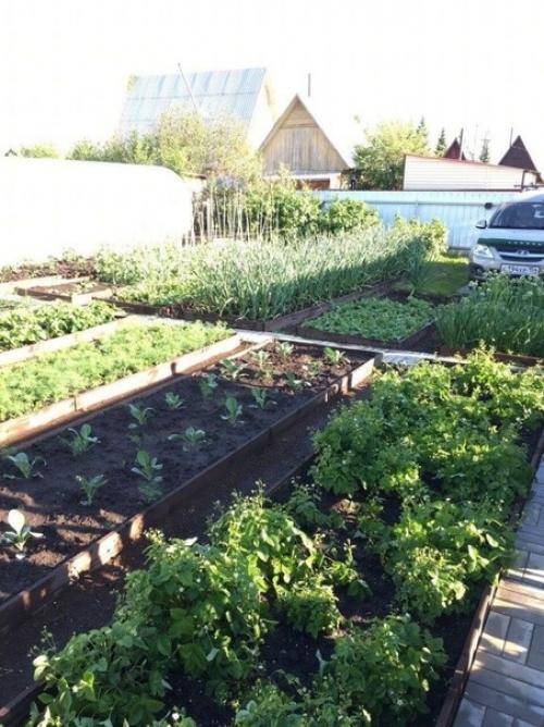 И вся эта красота на 4-х сотках. 03