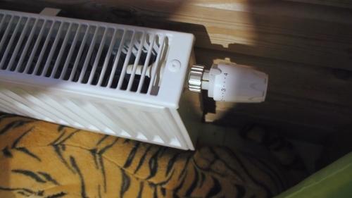 Третий год дровяным котлом отапливаюсь. 02