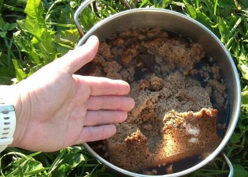 Зачерствевший хлеб - отличное решение для подкормки огородных культур, служащее основой для питательного удобрения. 
