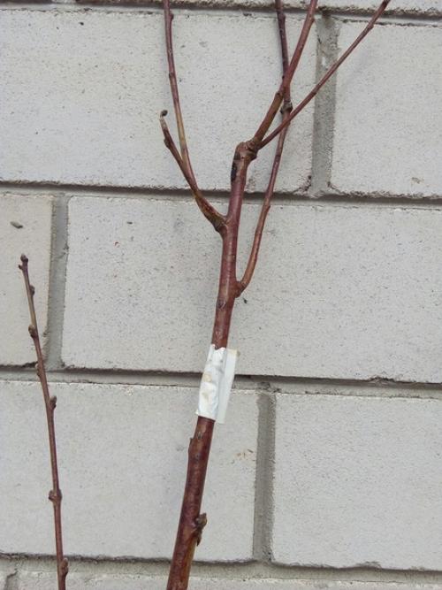 Здравствуйте.  Прошу рассудить ситуацию. 01