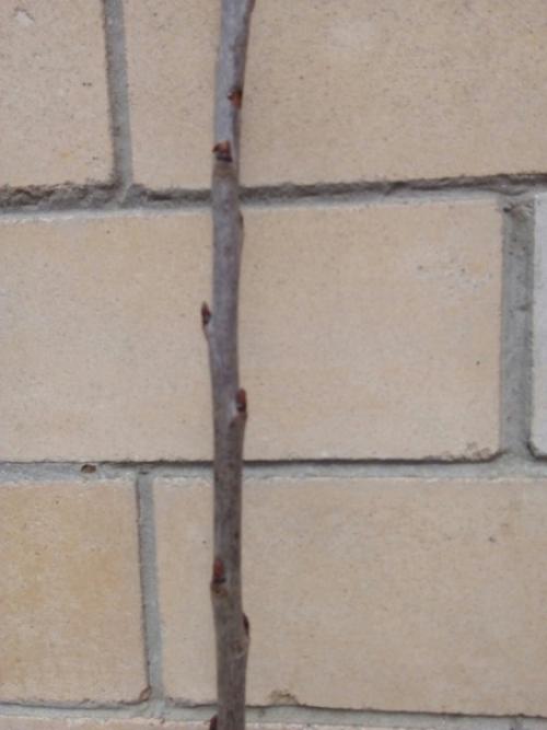 Здравствуйте.  Прошу рассудить ситуацию.