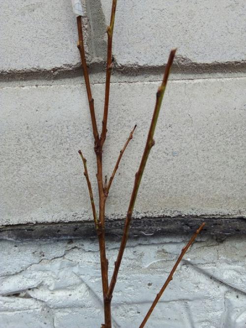 Здравствуйте.  Прошу рассудить ситуацию. 02