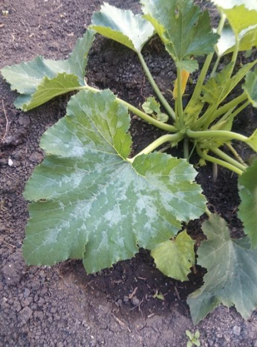 Доброго времени суток.