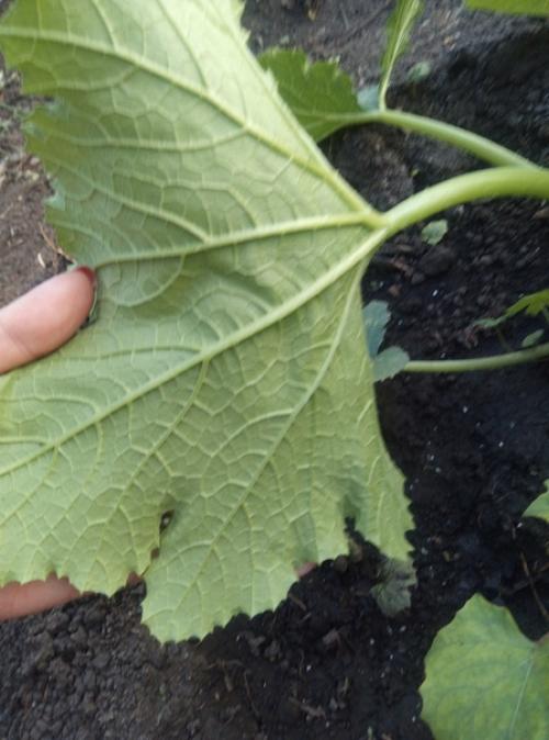 Доброго времени суток. 01