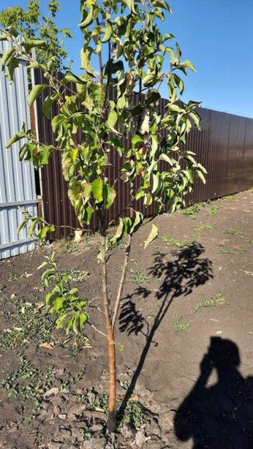 Добрый день всем! 02