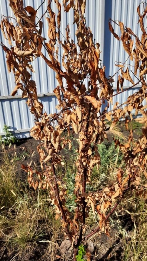 Добрый день всем! 01