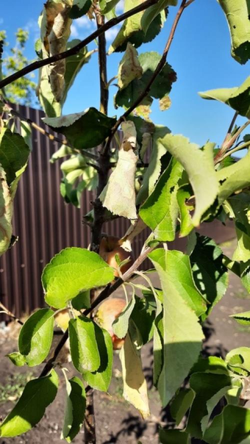 Добрый день всем!