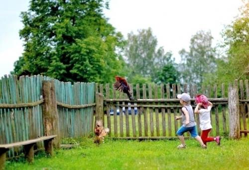 Сейчас бы хоть на чуть-чуть вернуться в детство, проснуться утром у бабушки в деревне. 06