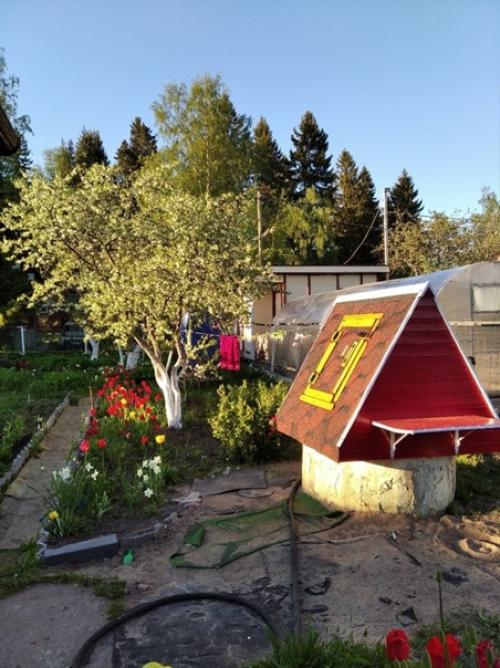 Автор: Алексей мерный. 06