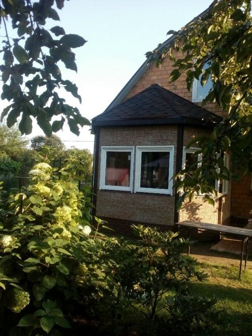 Моя мама давно зимний сад хотела. 05