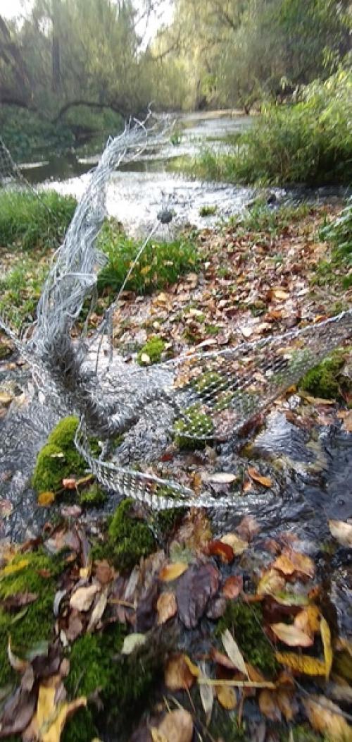 На оценку.  Кому то хотелось бы видеть подобное на своем учаске? 03