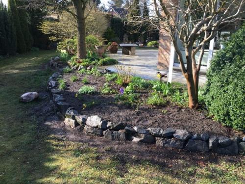 Купили дом.  Сад был, но запущен. 02