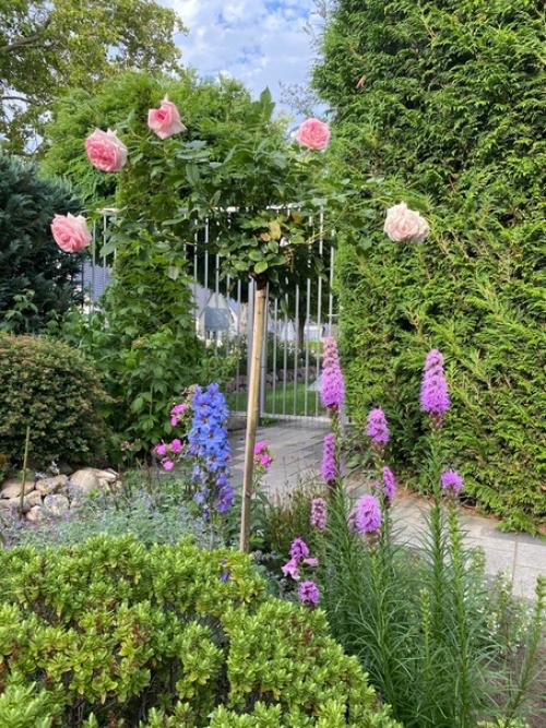 Купили дом.  Сад был, но запущен. 05