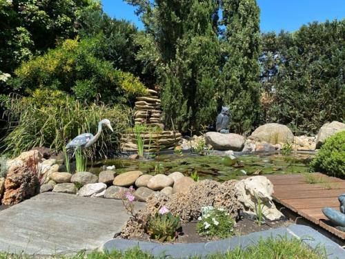 Купили дом.  Сад был, но запущен. 01