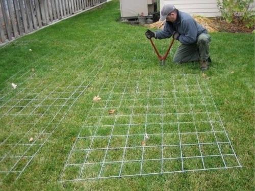 Скоро многим предстоит поставить теплицу.