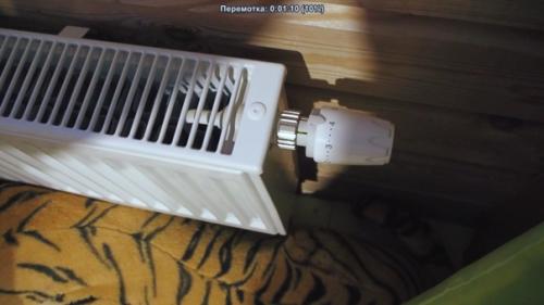 Сравнил по длительности горения уголь, брикеты и дрова. 02