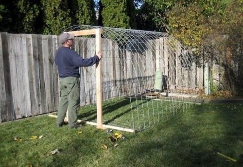 Скоро многим предстоит поставить теплицу. 03