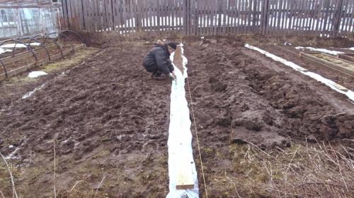 Установку теплицы из поликарбоната решил совместить с устройством дренажа участка. 06