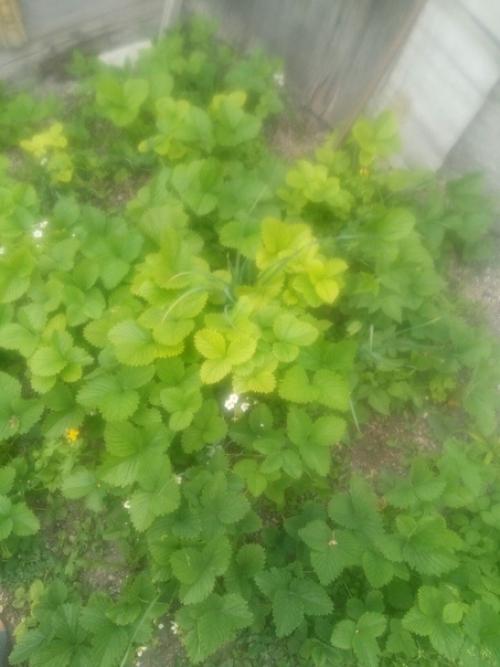 Подскажите пожалуйста, что делать? 04