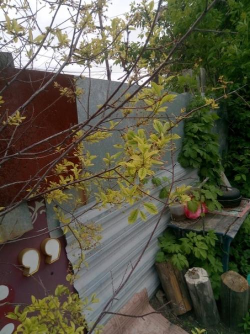 Подскажите пожалуйста, что делать? 01