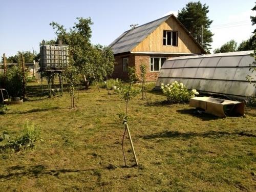 Живу в небольшом городке, в квартире. 04