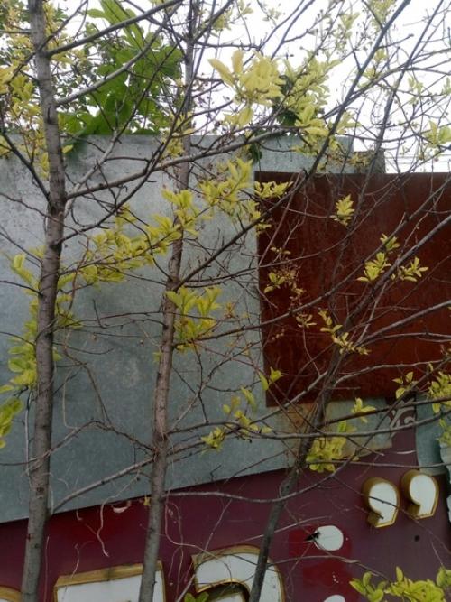 Подскажите пожалуйста, что делать?