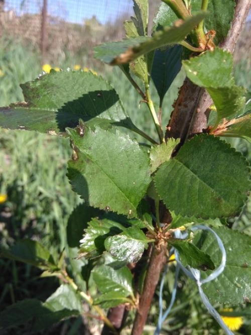 Здравствуйте!  Помогите, пожалуйста. 01