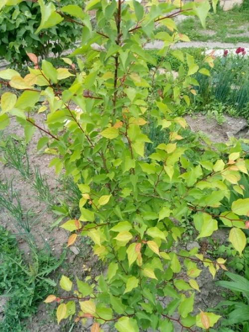 Подскажите пожалуйста, что делать? 03