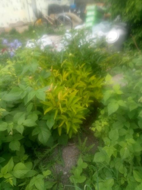 Подскажите пожалуйста, что делать? 02