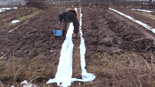 Установку теплицы из поликарбоната решил совместить с устройством дренажа участка. 05