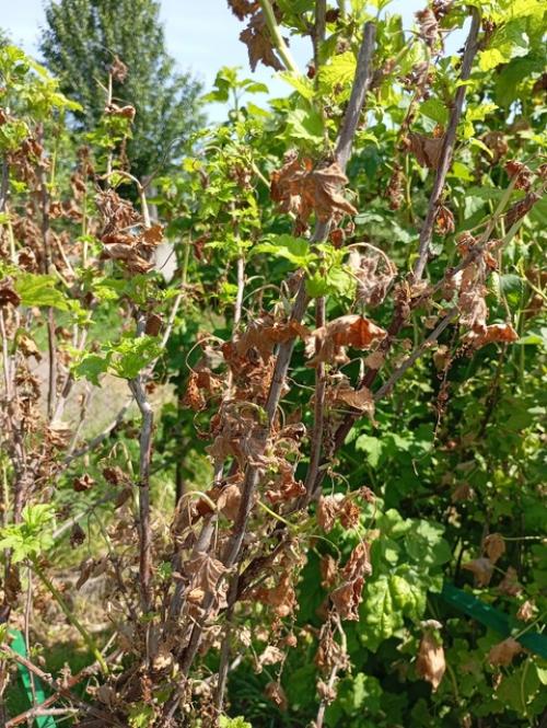 Добрый день!  Может подскажете, что может быть? 03