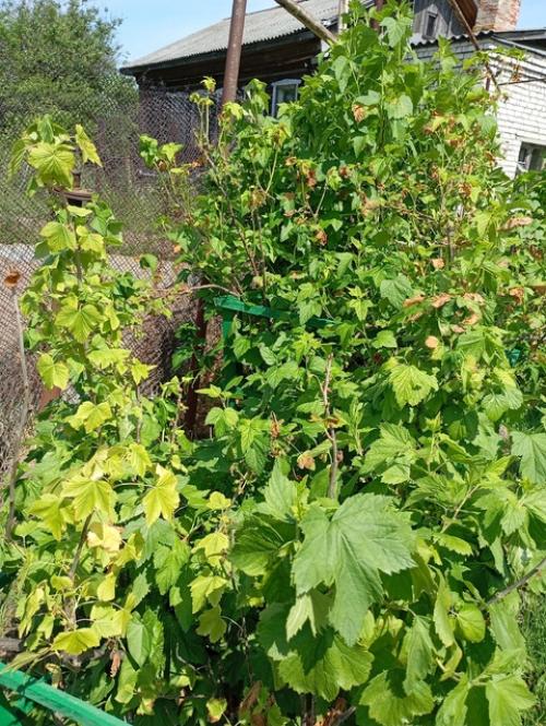 Добрый день!  Может подскажете, что может быть? 08