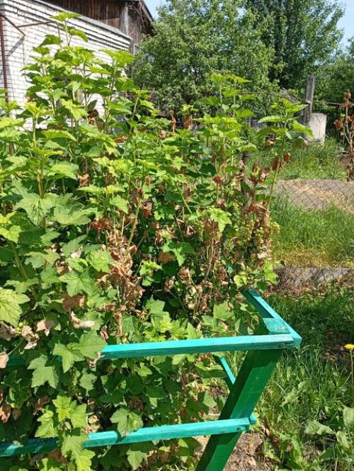 Добрый день!  Может подскажете, что может быть? 05