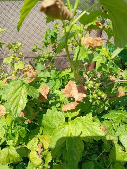 Добрый день!  Может подскажете, что может быть? 09