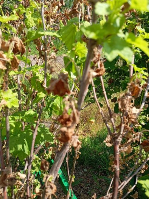 Добрый день!  Может подскажете, что может быть? 02