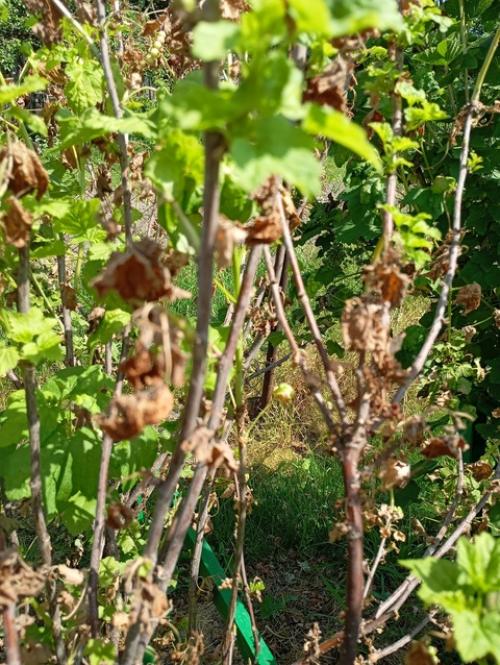 Добрый день!  Может подскажете, что может быть? 01