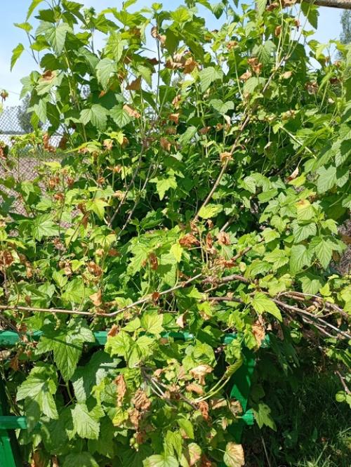 Добрый день!  Может подскажете, что может быть? 06