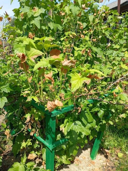 Добрый день!  Может подскажете, что может быть? 07