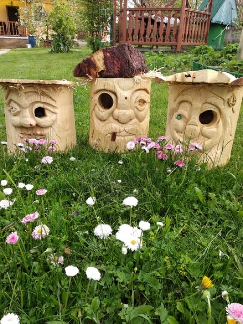 Самое лучшее украшение для вашего сада - это птицы. 03