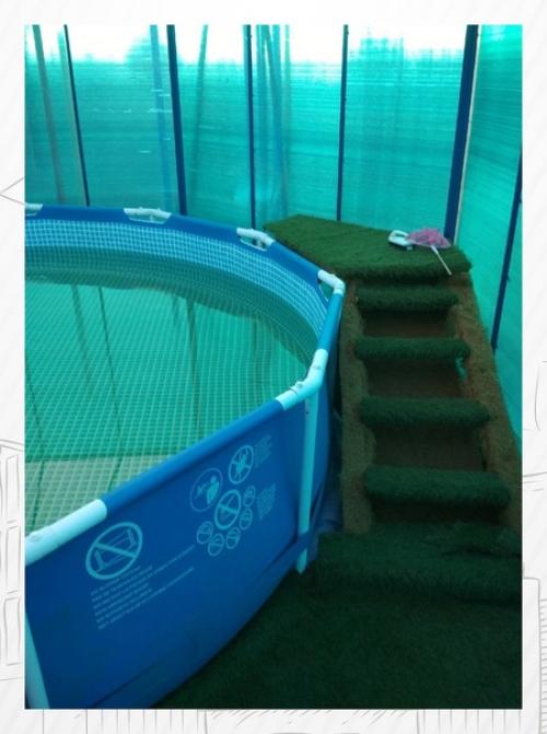 Укрытие для бассейна из поликарбоната сделал. 02