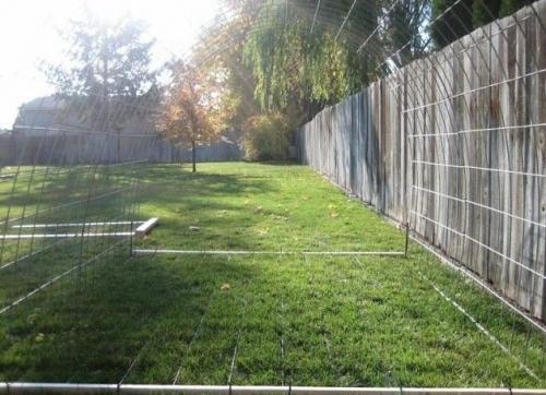 Построили тепличку.  Когда у человека золотые руки. 01