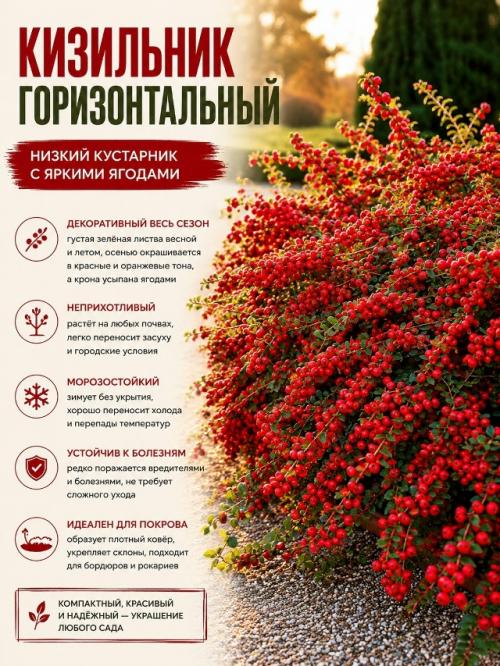 Осенью сад может быть не менее красивым, чем летом. 06 Осенью сад может быть не менее красивым, чем летом. 06