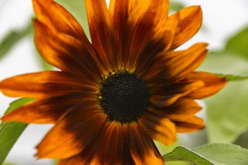 Прислала подписчица сообщества. 05