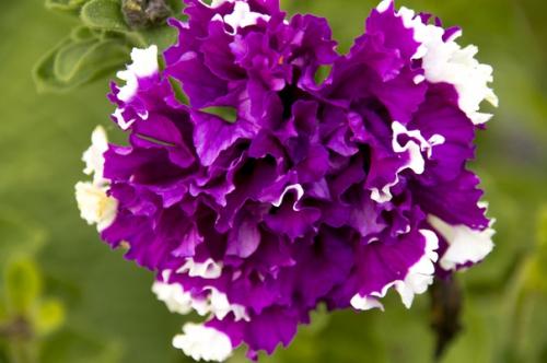 Прислала подписчица сообщества. 01