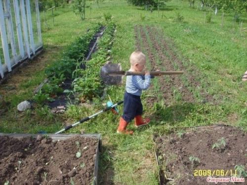 Как приятна их помощь и забота. 02