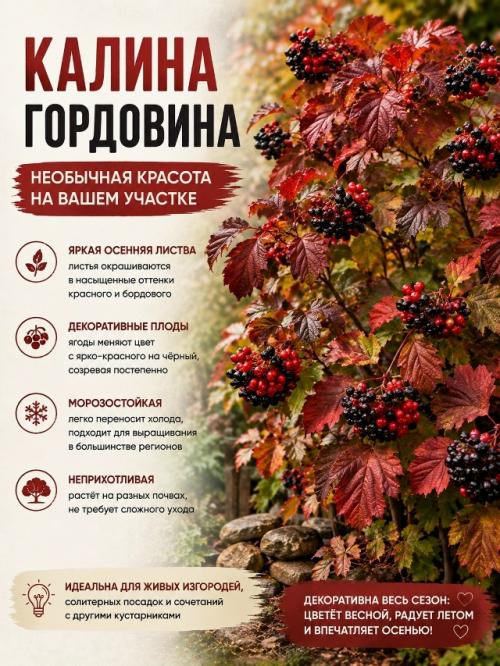 Осенью сад может быть не менее красивым, чем летом. 02 Осенью сад может быть не менее красивым, чем летом. 02