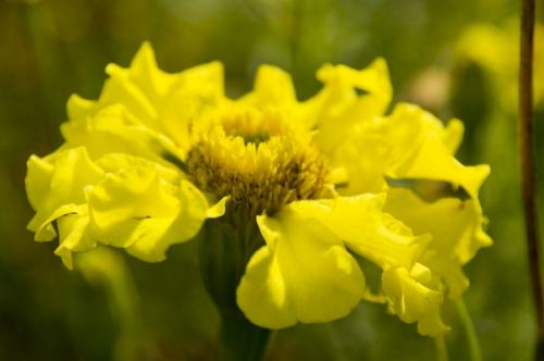 Прислала подписчица сообщества. 03