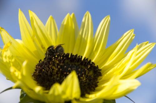 Прислала подписчица сообщества.